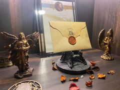 -雪灵魔法世界SHELLY’S TAROT(大良桂畔里店)