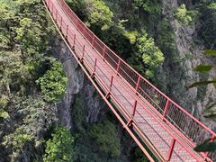 -旗山国家森林公园