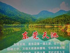 -清溪森林公园