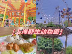 -上海野生动物园