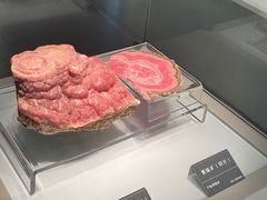 -安徽省地质博物馆