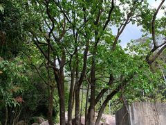 -逍遥谷景区