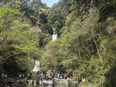 -石台牯牛降景区