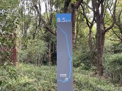 -上海吴淞炮台湾国家湿地公园