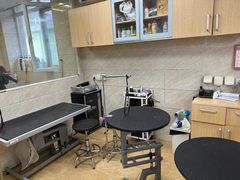 -美联众合动物医院·24h京西诊疗中心