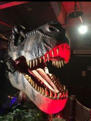 -恐龙探索乐园(磁器口店)