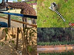 -鄂尔多斯野生动物园