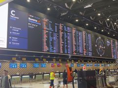 -谢列梅捷沃国际机场