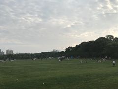 -昆山城市生态森林公园