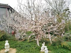 -象山森林公园