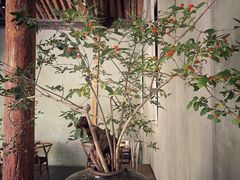 -曲廊院(东四十一条店)