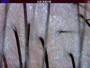-虫二·专注健康烫染沙龙