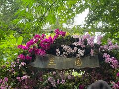 -野象谷景区