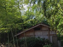 -重庆雨台山风景区