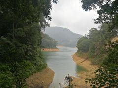 -广州市流溪河国家森林公园