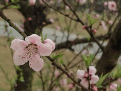 -四川大学(江安校区)