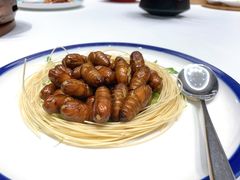 椒盐蚕蛹-山东老家(科韵分店)