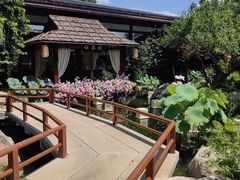 -醉香隆.山水庭院.湖北菜(东湖店)