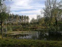 -东郊湿地公园