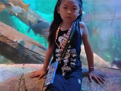 -沈阳海洋探索中心