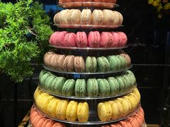 -雍容荟帝王蟹活龙虾展台自助(IFS黑金店)