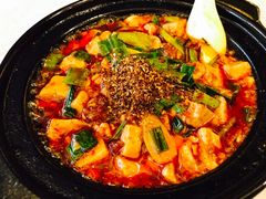 -陈麻婆豆腐总店