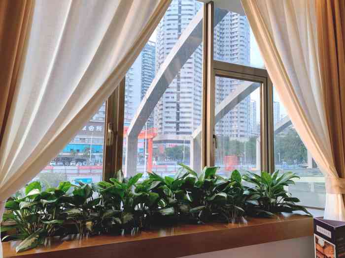 悦景酒家(罗湖店)-"国宾大酒店二楼,国庆去吃的茶点,常规的流.