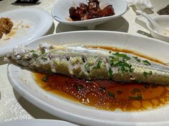 -金美华轩(东方路齐鲁店)