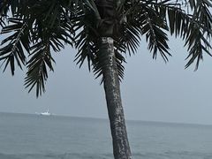 -北戴河东海水浴场
