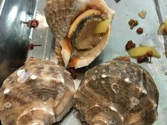 -胶东海鲜大排档(北太平庄店)