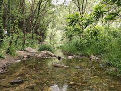 -碓臼峪自然风景区