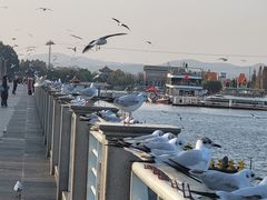 -呈贡滇池生态湿地公园