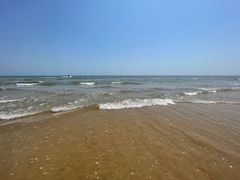 -日照海滨国家森林公园
