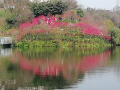 -重庆彩云湖湿地公园