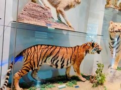 -国家自然博物馆