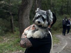 -玉渡山自然风景区