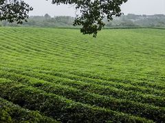 -敬亭山风景名胜区