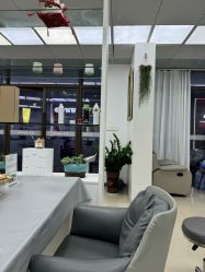 -迪罗造型•潮色接发