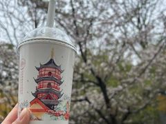 -鸡鸣赐茶(鸡鸣寺路店)