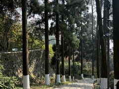 -莫干山风景区
