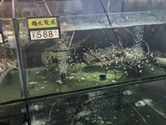 -岛中岛·海鲜大排档·万宁老字号(东澳店)