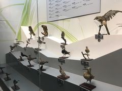-扬州科技馆