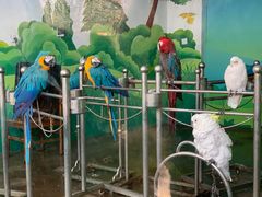 -西安秦岭野生动物园