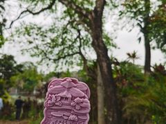 -中国科学院华南植物园