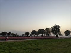 -汉长安城未央宫国家考古遗址公园