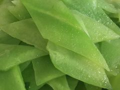 -湖南湘菜馆(东湘缘二店)