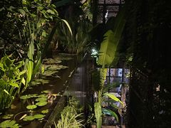 -肴约·花园式餐厅(湖里店)