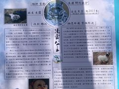 -青藏高原野生动物园