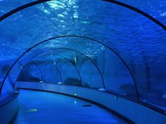 -泉城欧乐堡海洋极地世界