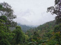 -野象谷景区